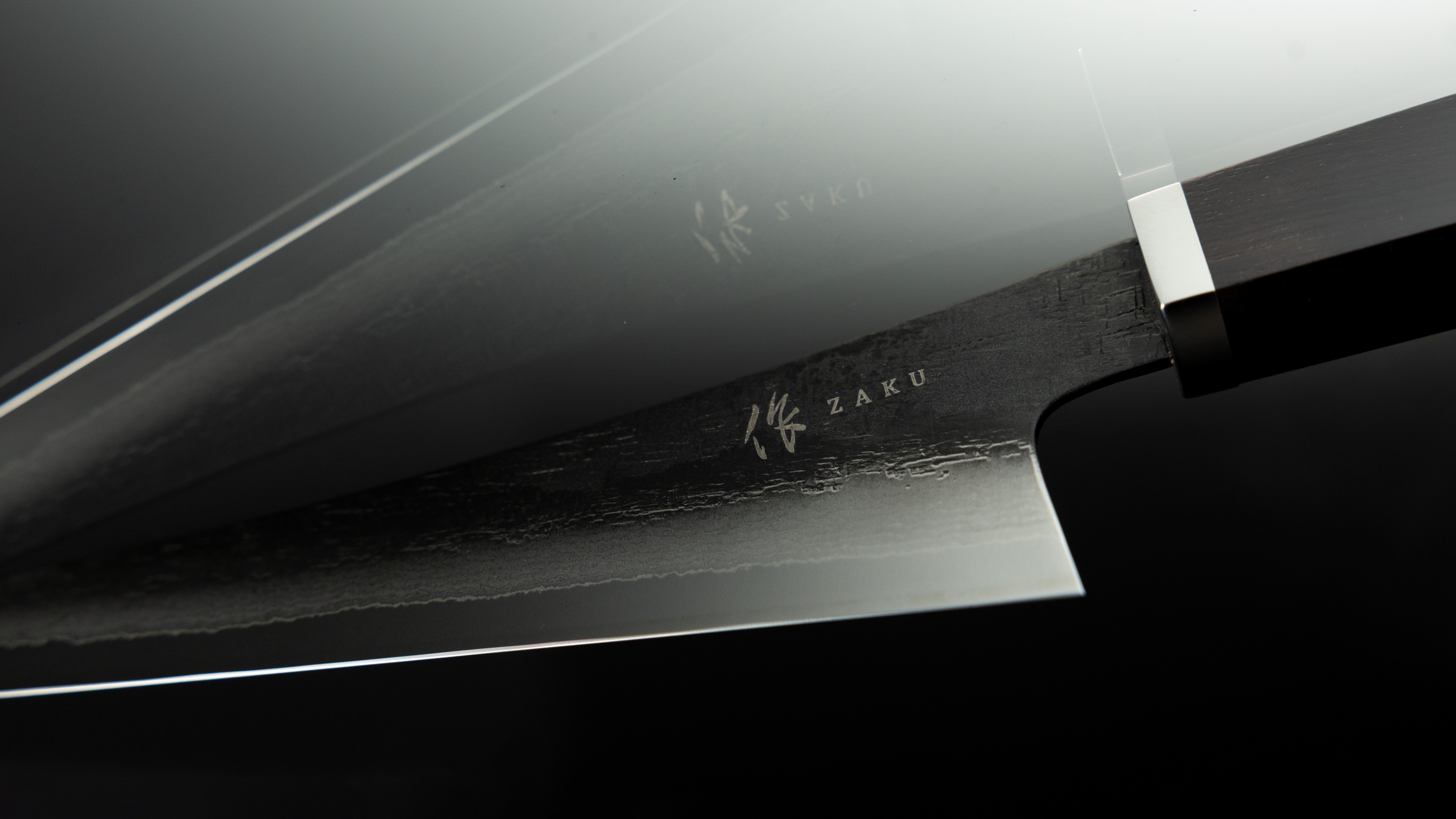 Iron Is Where We Start. Why does FE focus on iron?